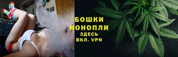 прущие грибы Армянск