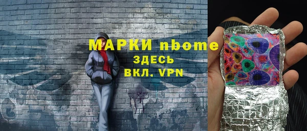 шишки Арсеньев