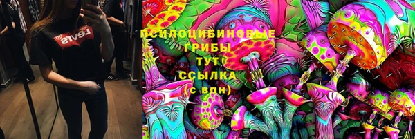 Альфа ПВП Алексин