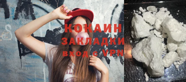 шишки Арсеньев