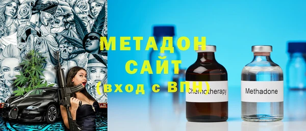 шишки Арсеньев