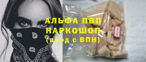 прущие грибы Армянск
