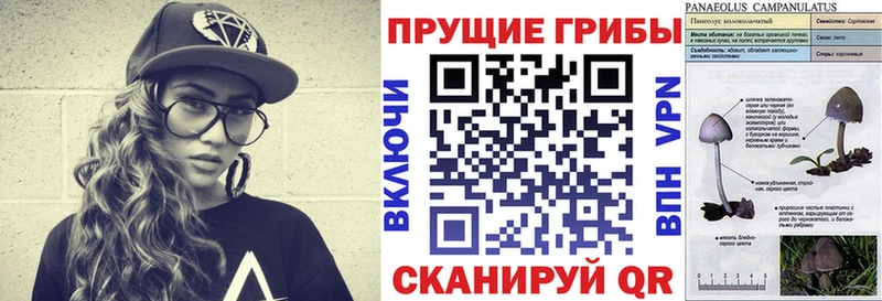 блэк спрут как войти  где продают наркотики  Новомосковск  Псилоцибиновые грибы Psilocybine cubensis 